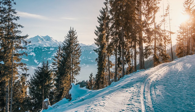 Slidinėjimo kryptys: 2022-2023 m. žiemos slidinėjimo vietovės
