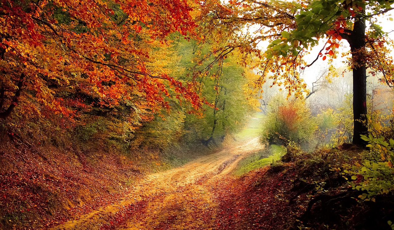 Geriausi Lietuvos žygių maršrutai rudens sezonui